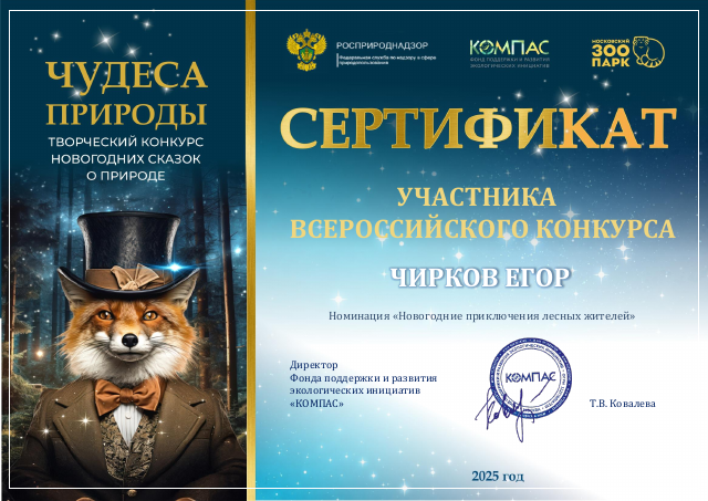 Сертификат Чирков Егор-1