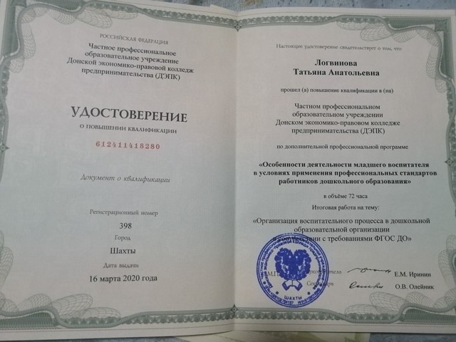 «Особенности деятельности младшего воспитателя в условиях применения профессиональных стандартов работников дошкольного образования»