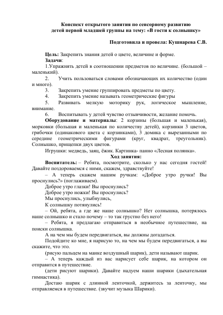 В гости к солнышку